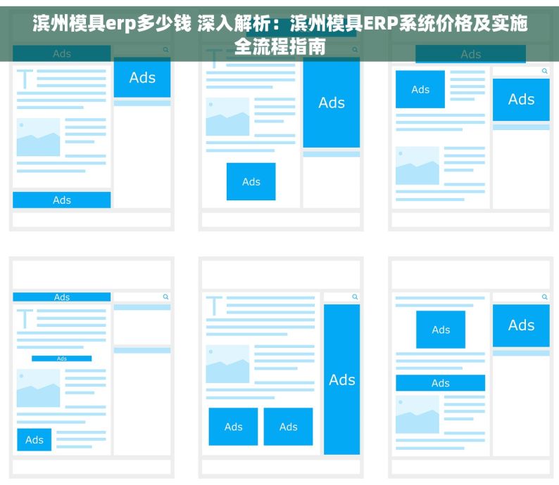 滨州模具erp多少钱 深入解析：滨州模具ERP系统价格及实施全流程指南